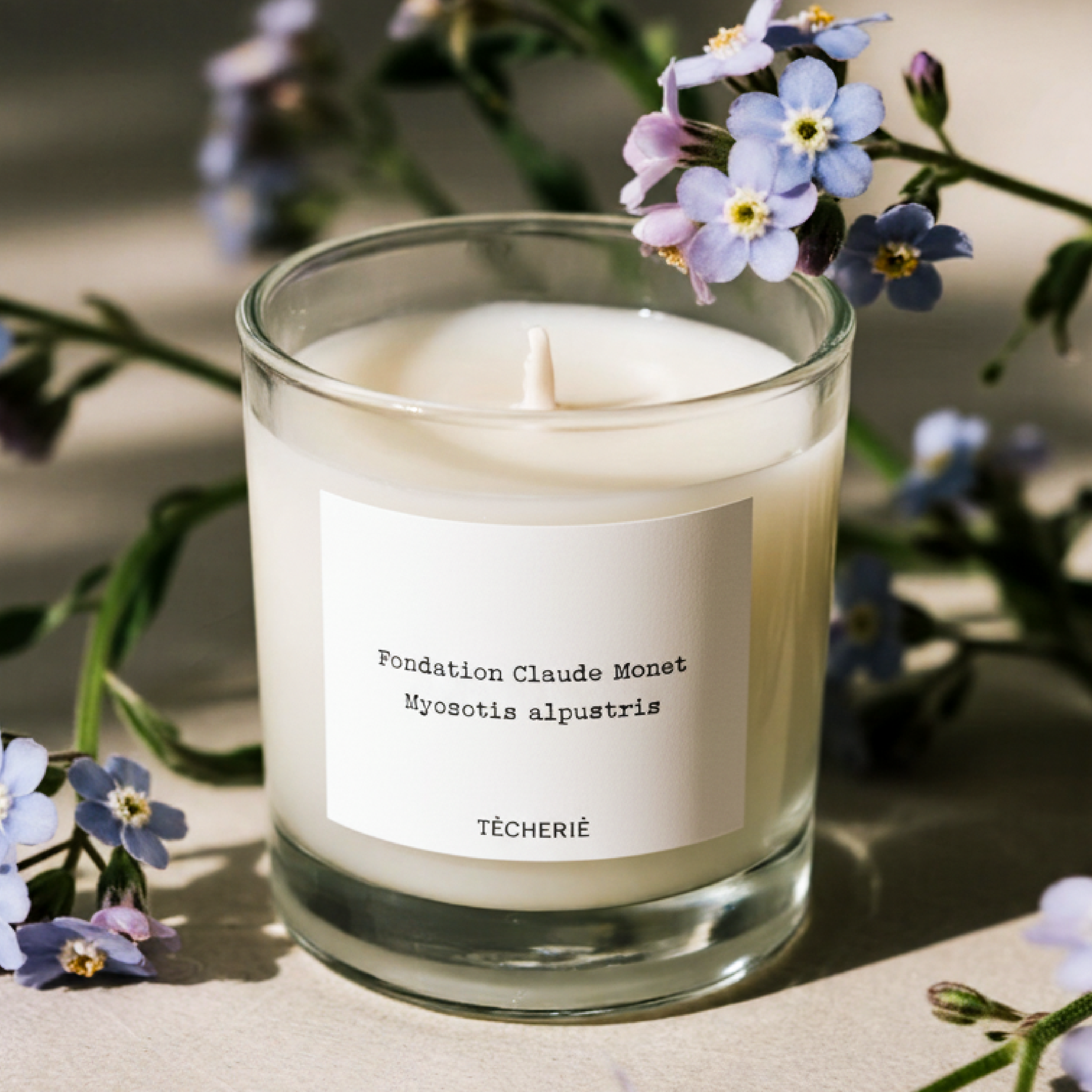 lavender lavender style-Forget-me-not